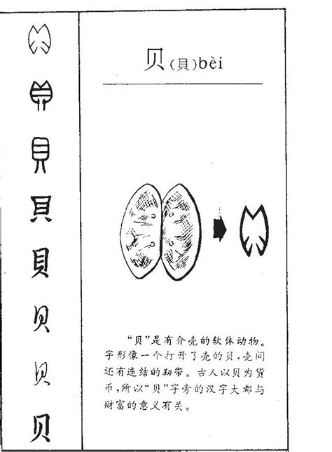 貝 五行|「贝康熙字典笔画」贝字五行属什么,贝字起名的寓意含义